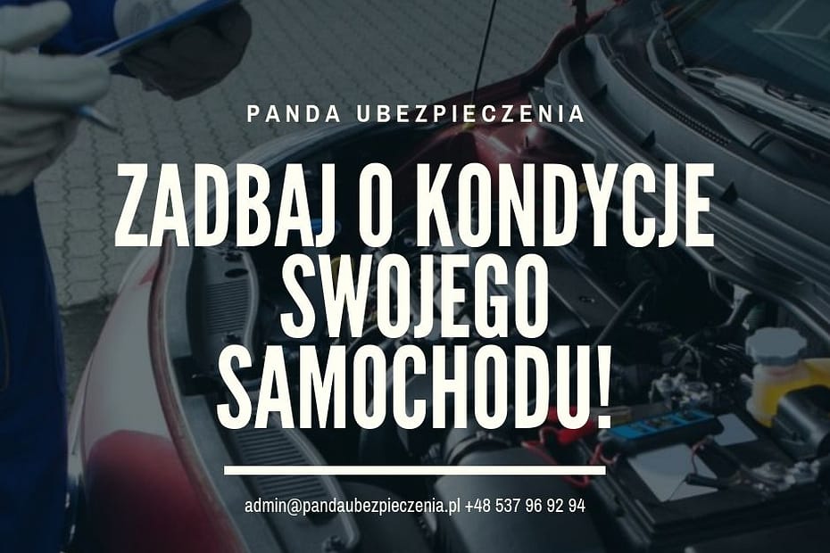 bezpieczeństwo kierowcy oraz pasażerów