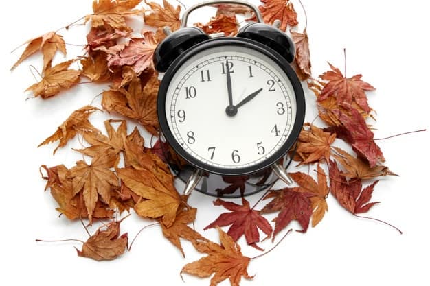 panda ubezpieczenia oszczędzaj czas i pieniądze